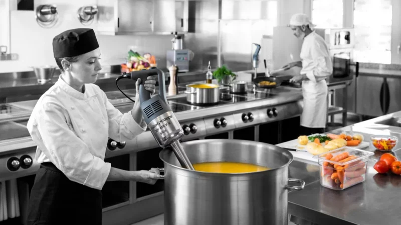 Robot Coupe Stick Mixer MP 450 VV - Image 8